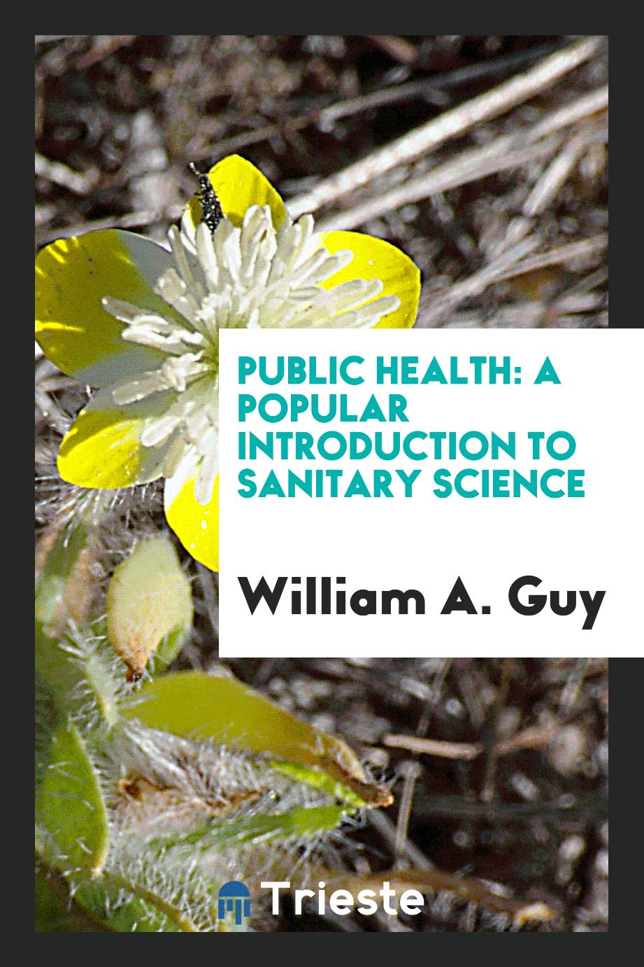 Public health: a popular introduction to sanitary science