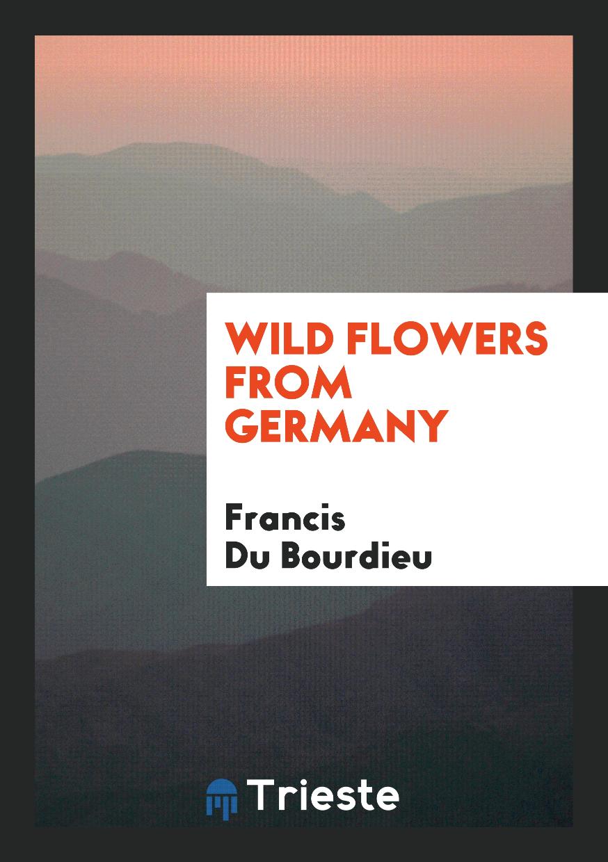 Wild Flowers from Germany