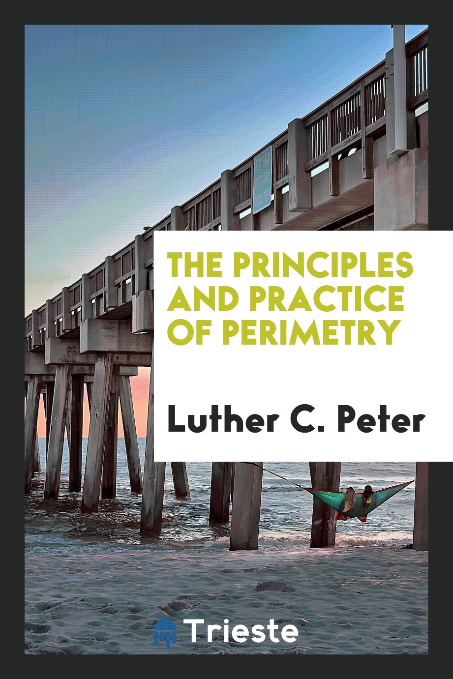 The principles and practice of perimetry