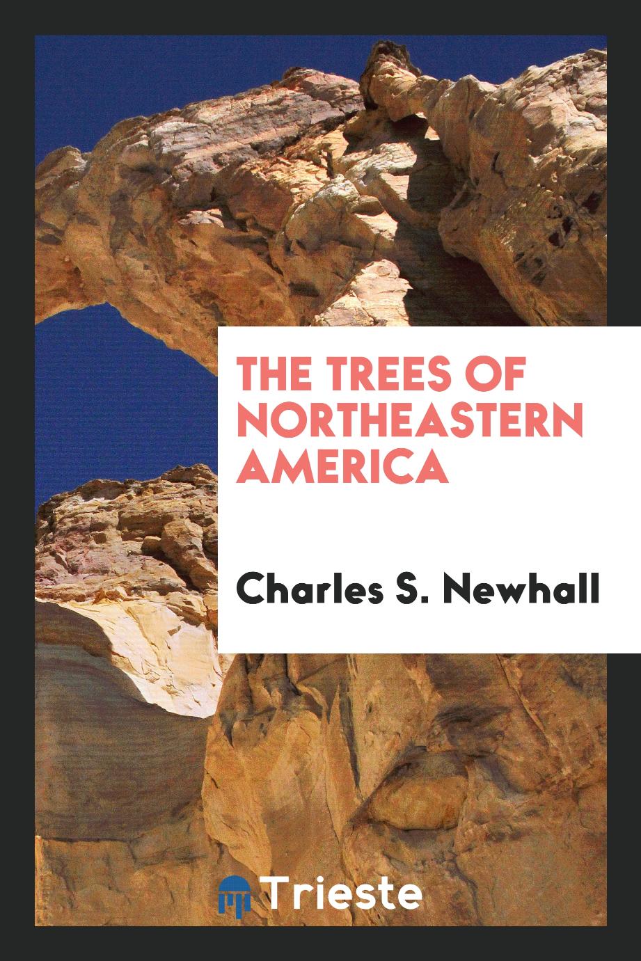 The trees of northeastern America