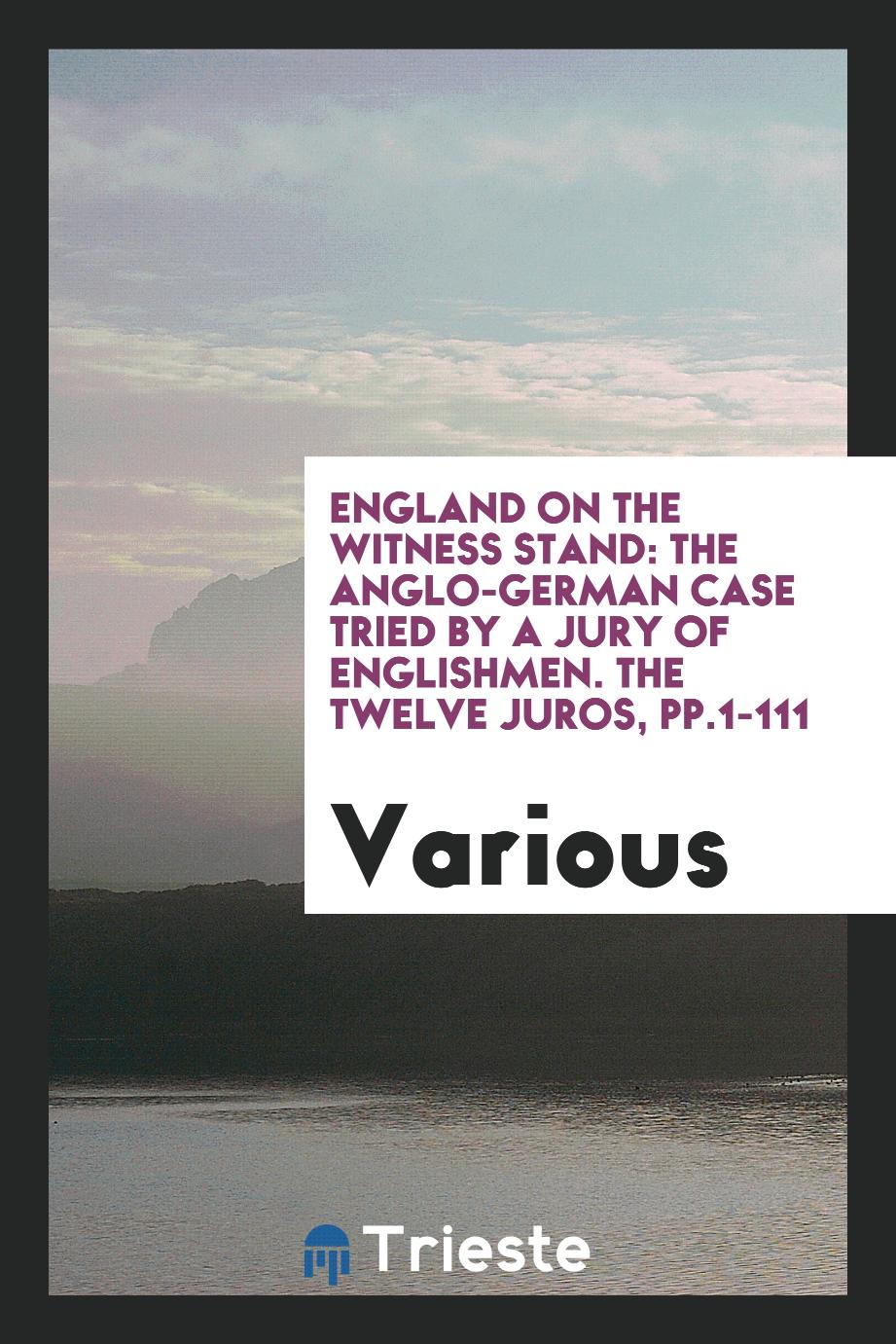 England on the Witness Stand: The Anglo-German Case Tried by a Jury of Englishmen. The Twelve Juros, pp.1-111