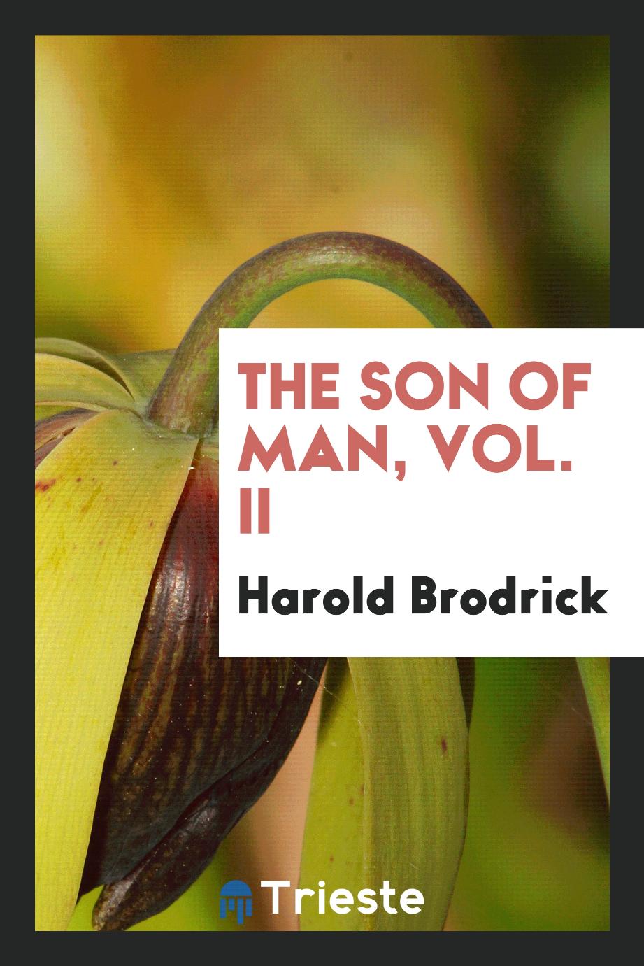 The Son of Man, Vol. II