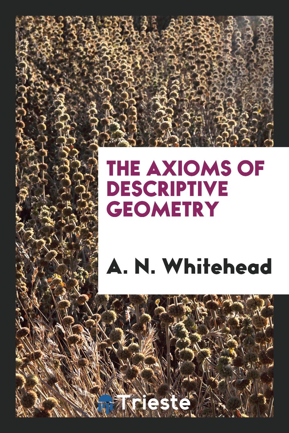 The Axioms of Descriptive Geometry