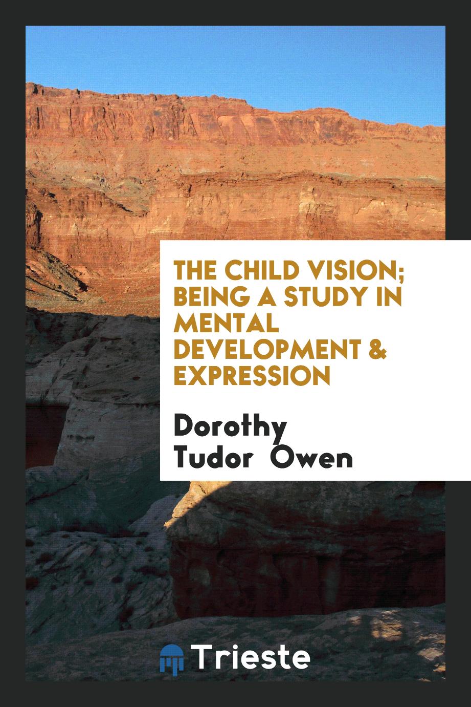 The child vision; being a study in mental development & expression