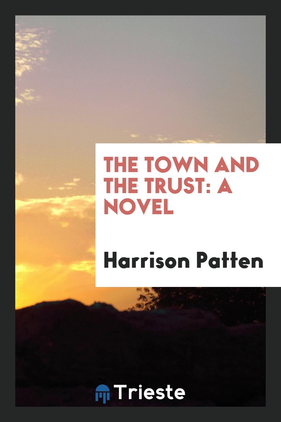 The Town and the Trust: A Novel