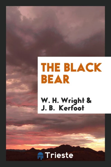 The Black Bear