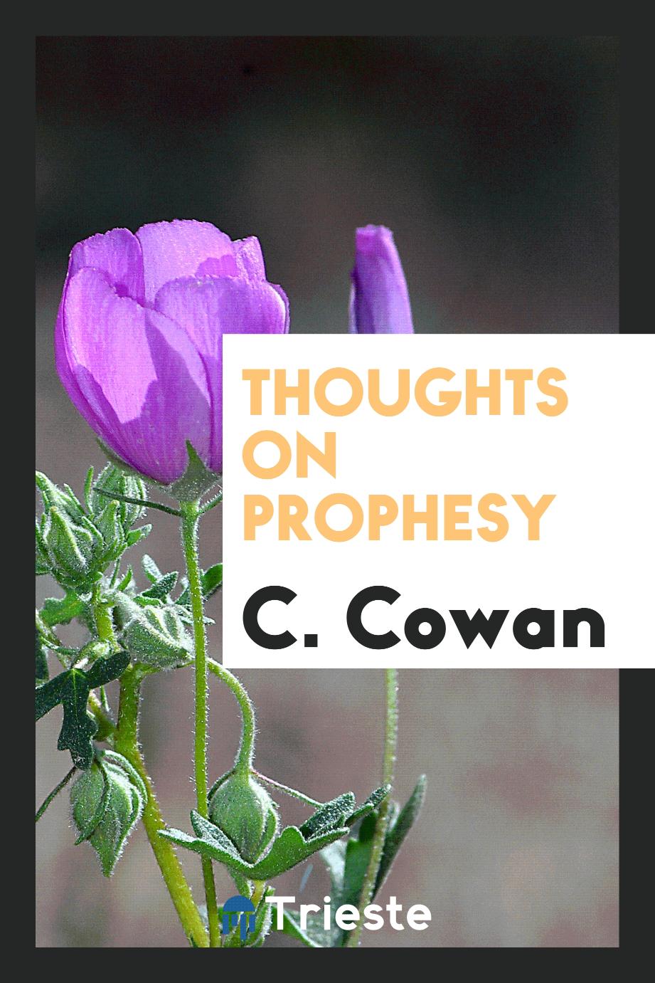 Thoughts on Prophesy