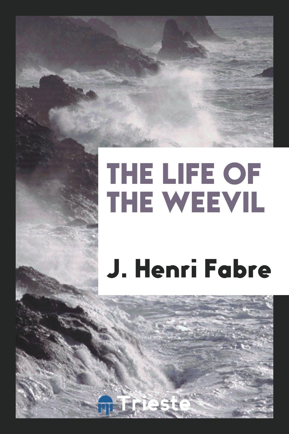 The life of the weevil