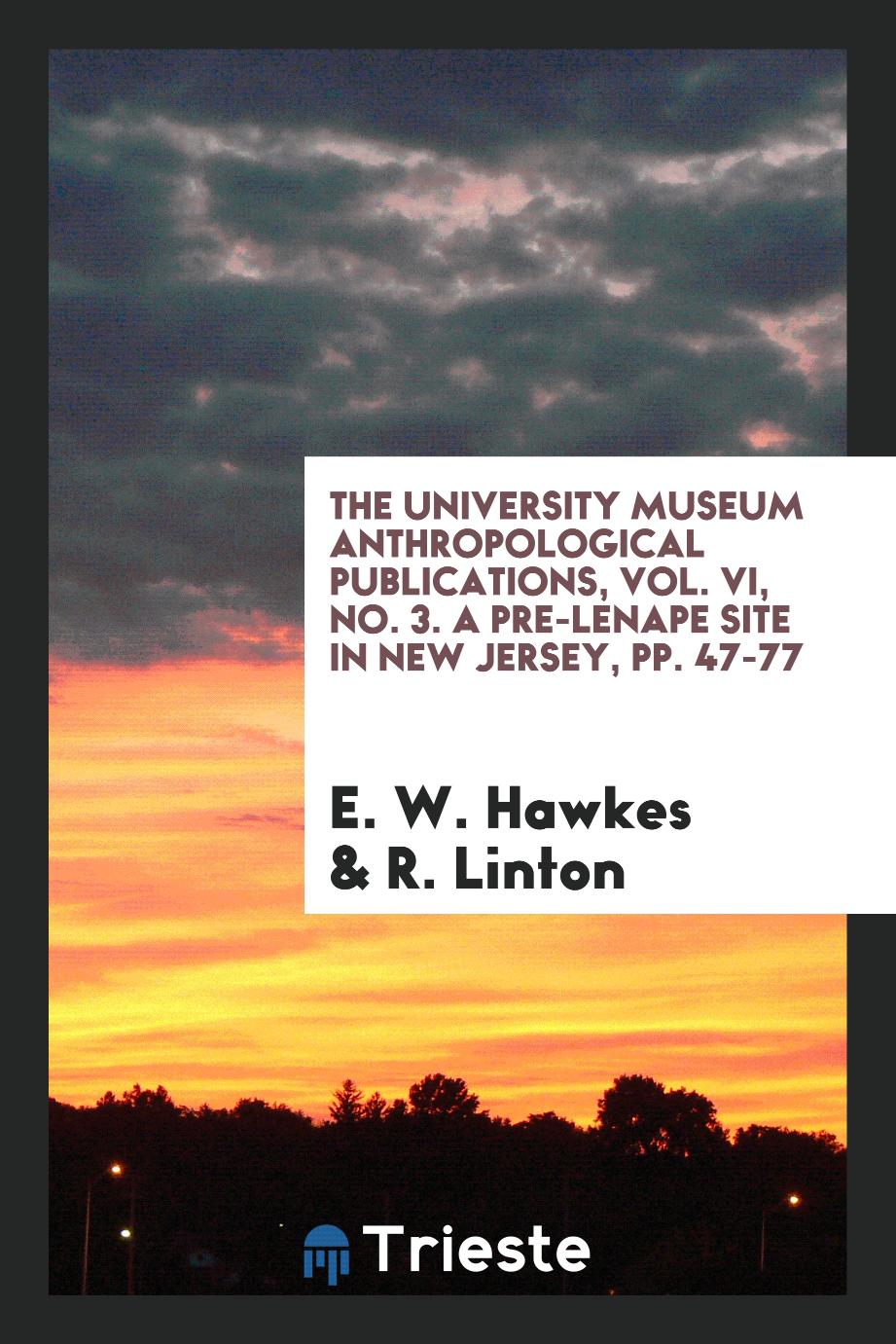 The university museum anthropological publications, vol. VI, No. 3. A Pre-Lenape Site in New Jersey, pp. 47-77