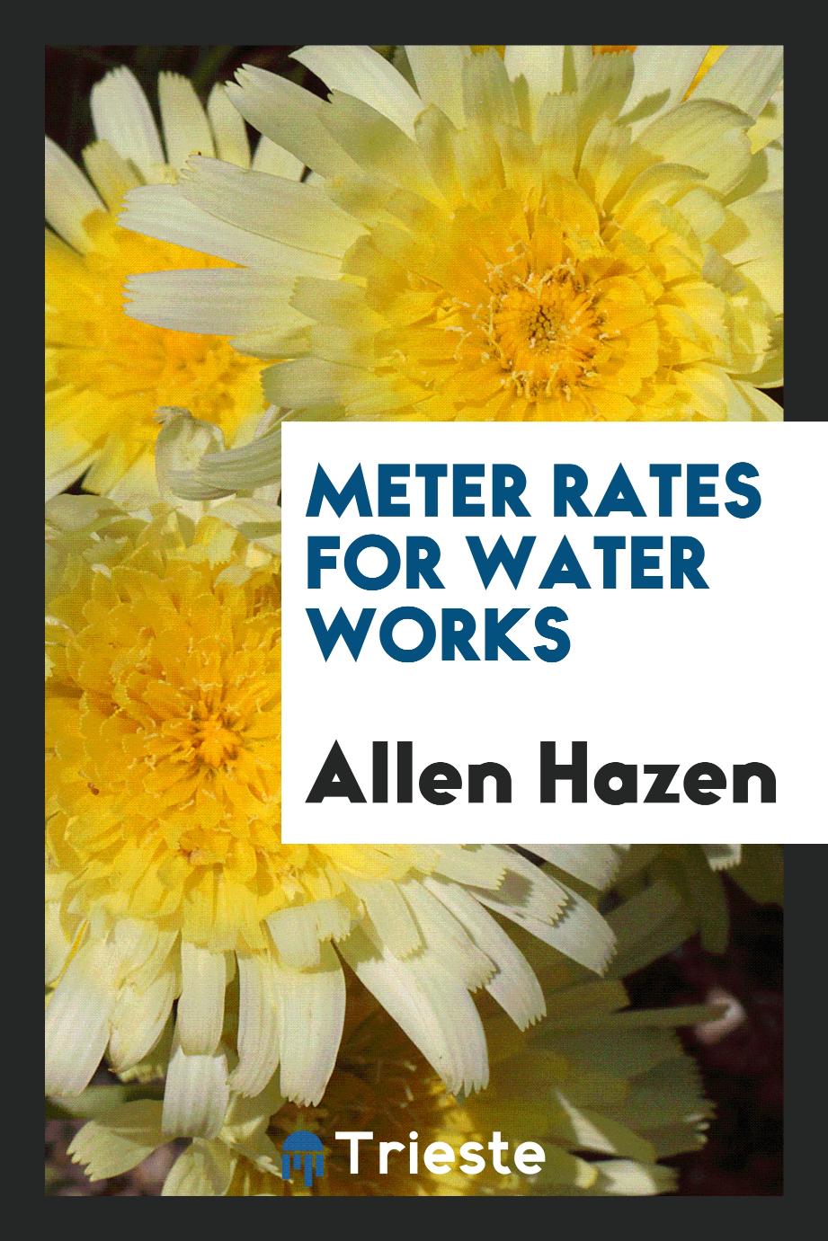 Meter rates for water works