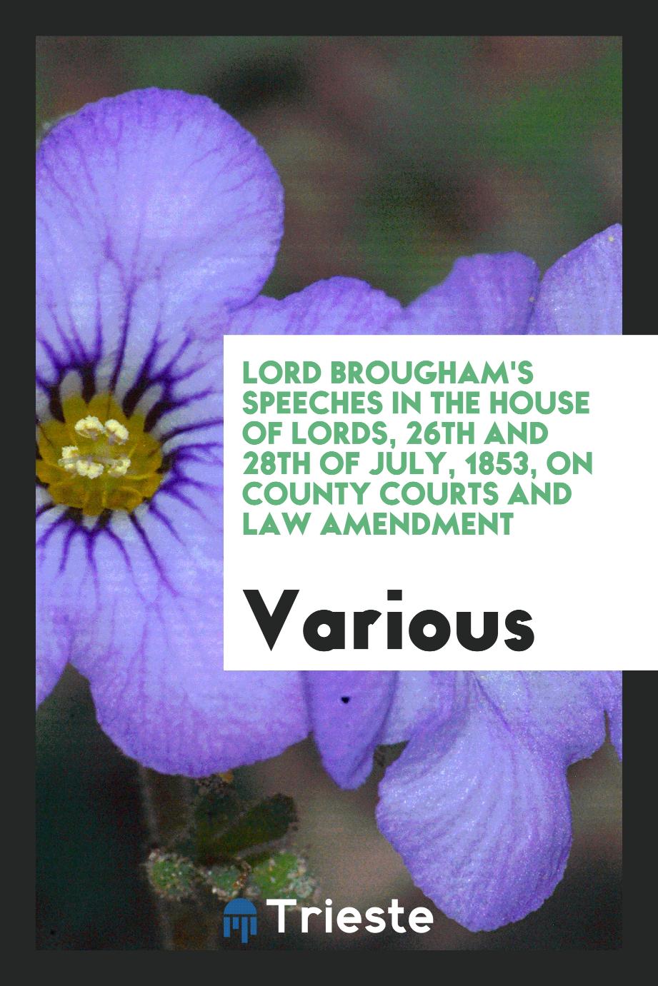 Lord Brougham's Speeches in the House of Lords, 26th and 28th of July, 1853, on County Courts and law amendment