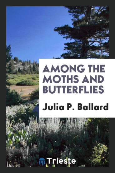 Among the moths and butterflies