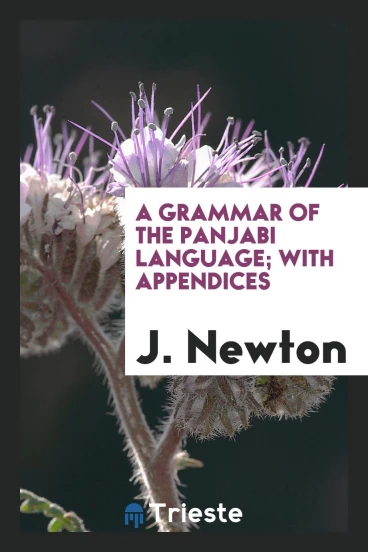 A grammar of the Panjabi language; with appendices