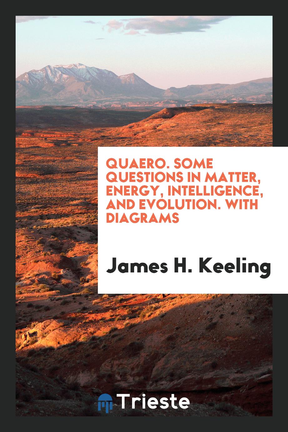 Quaero. Some questions in matter, energy, intelligence, and evolution. With diagrams