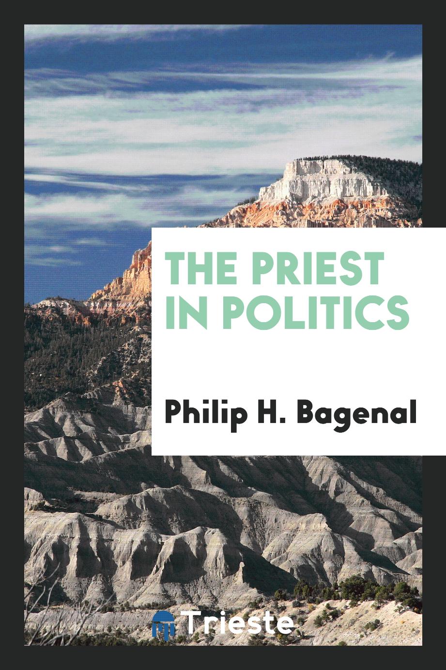 The priest in politics