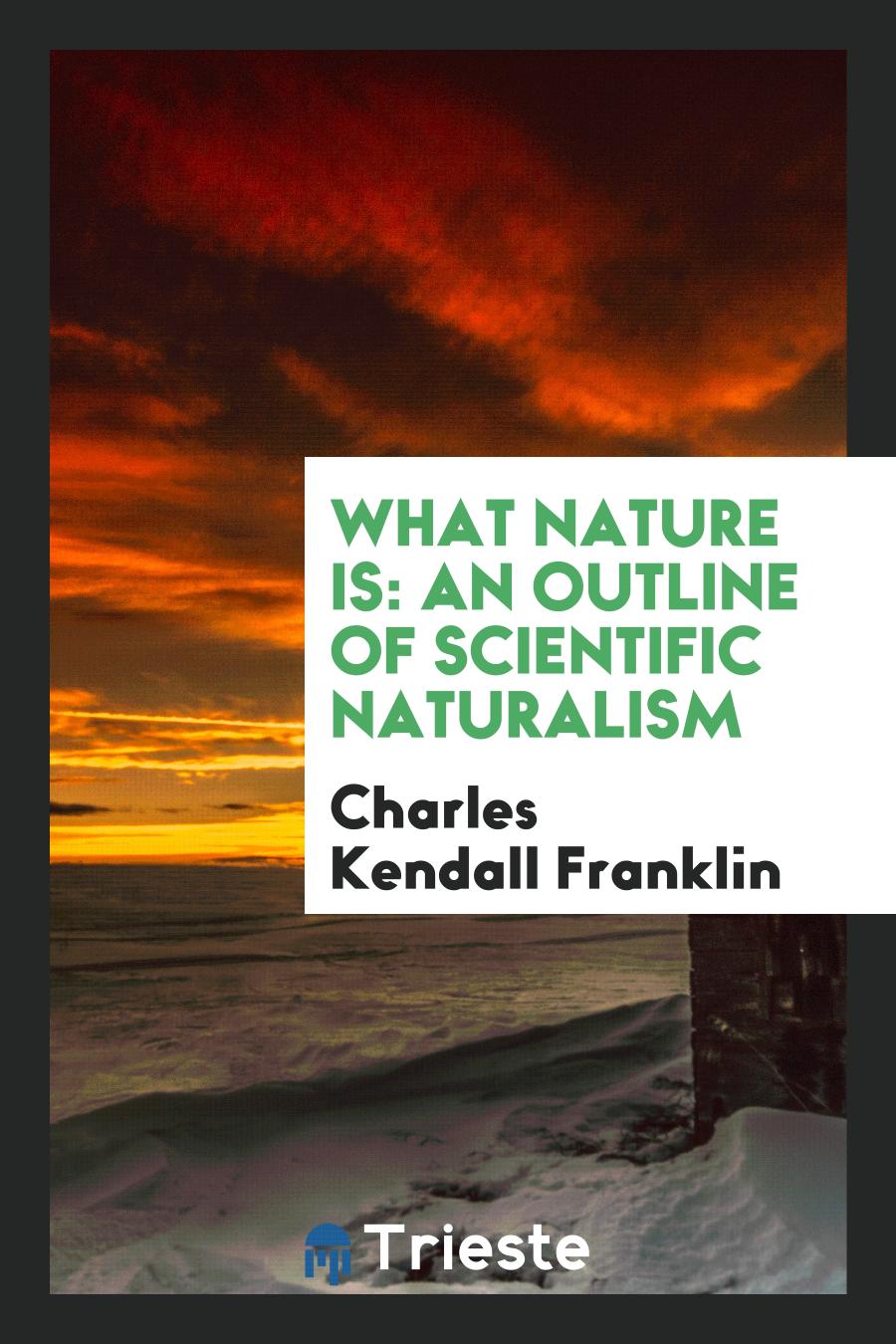 What Nature Is: An Outline of Scientific Naturalism