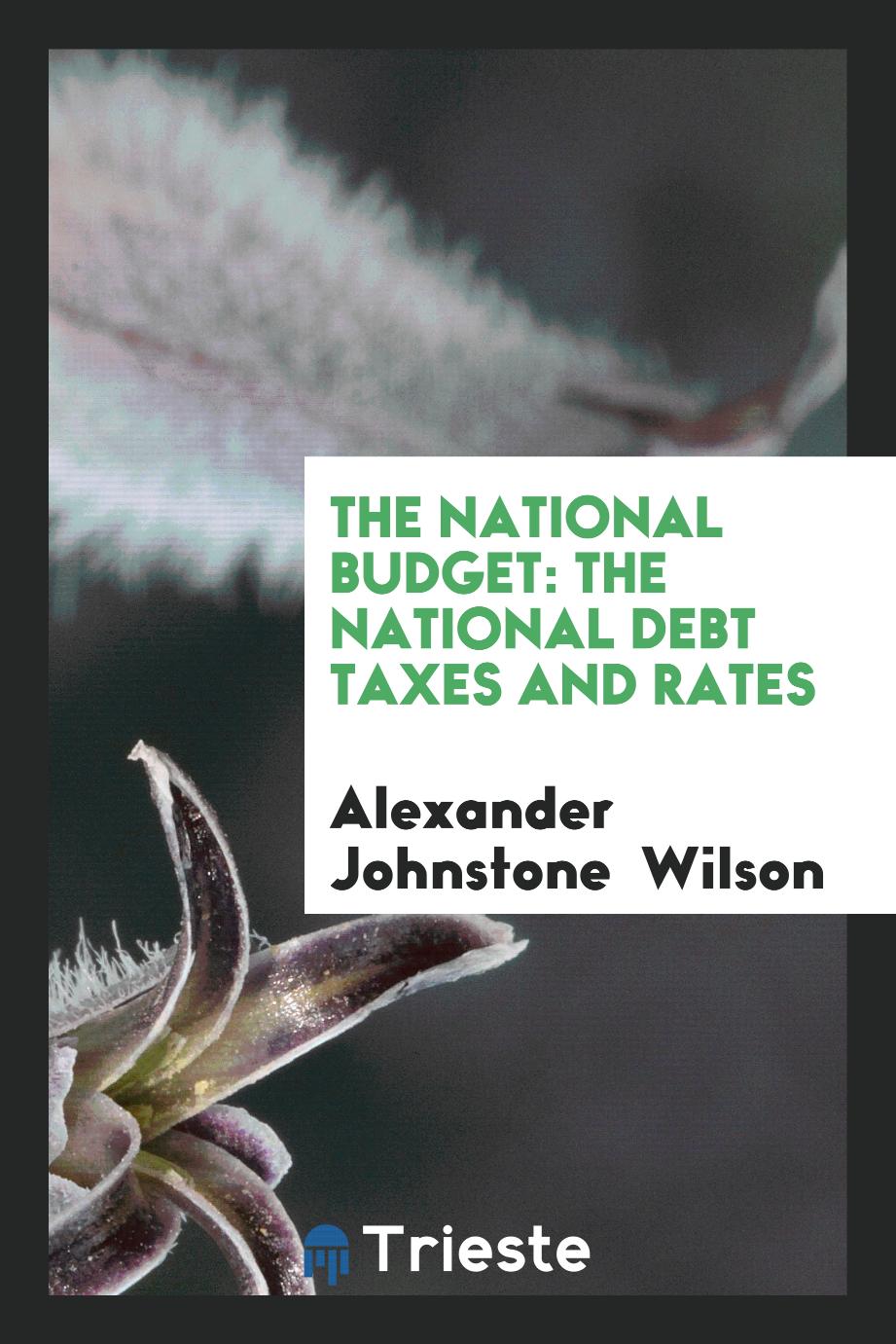 The National Budget: The National Debt Taxes and Rates