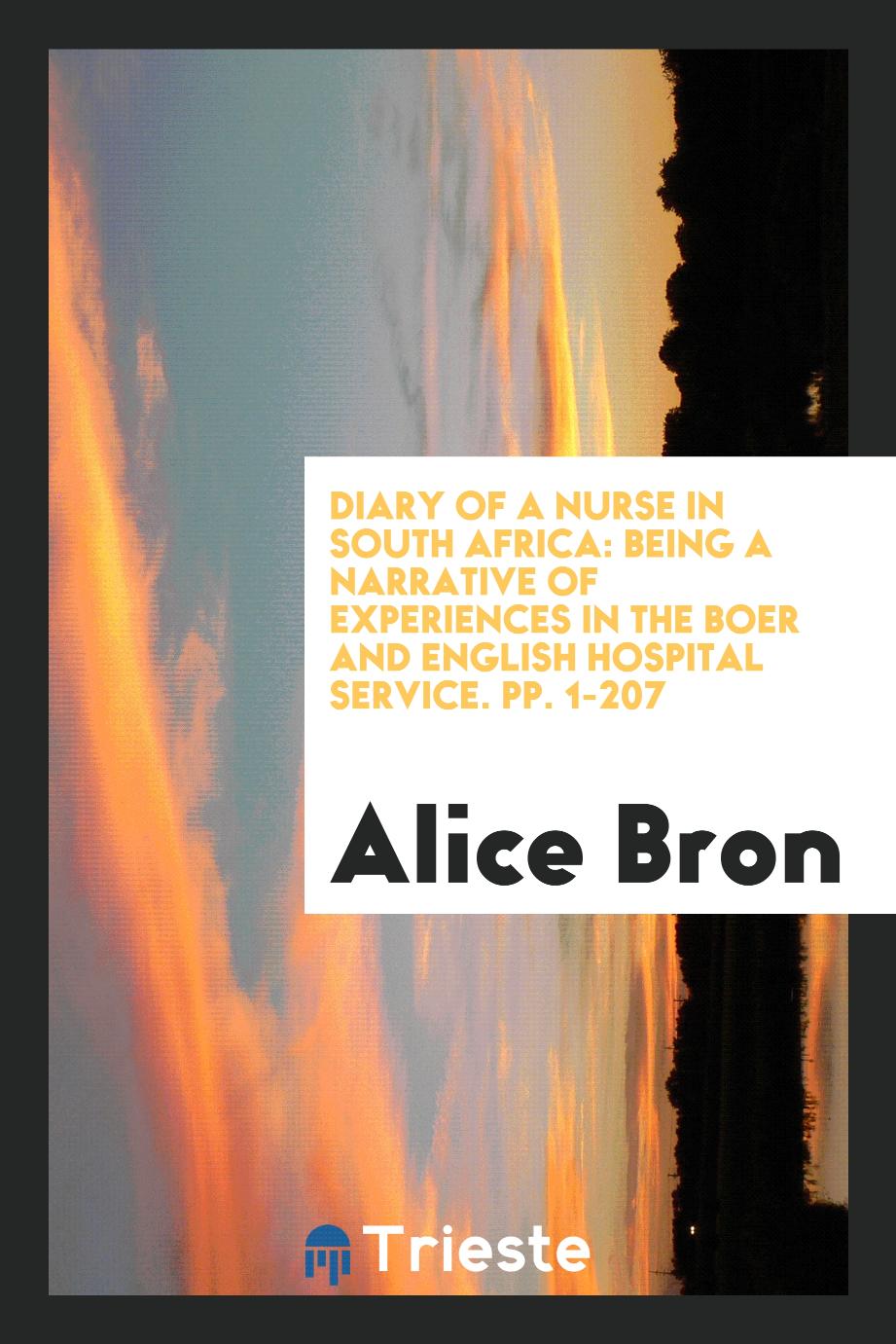Diary of a Nurse in South Africa: Being a Narrative of Experiences in the Boer and English Hospital Service. pp. 1-207