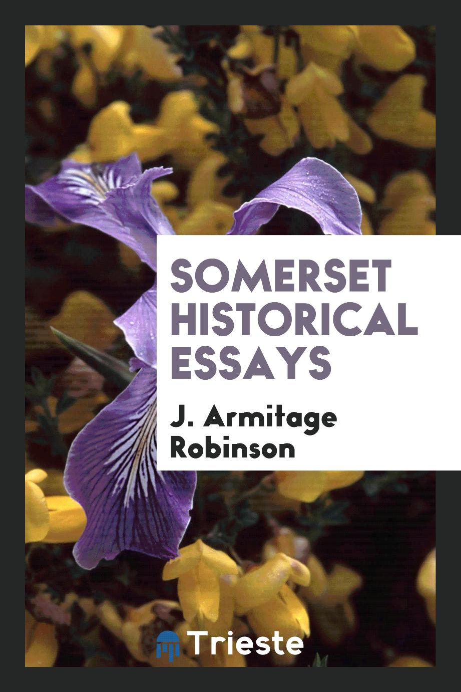 Somerset Historical Essays