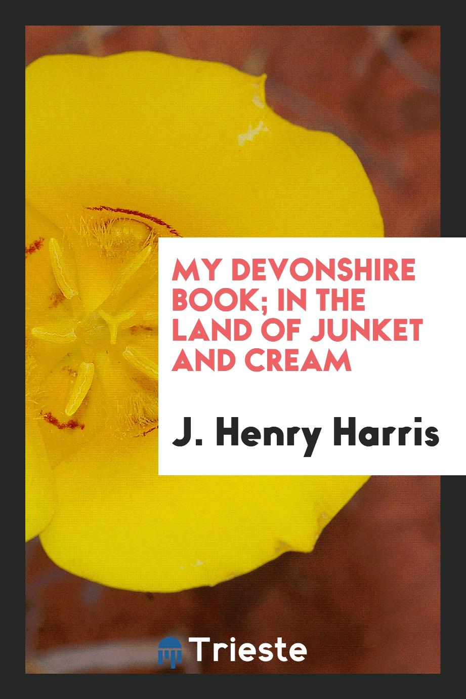 My Devonshire book; in the land of junket and cream