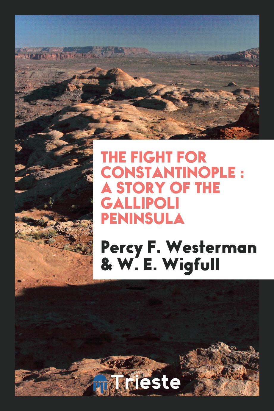 The fight for Constantinople : a story of the Gallipoli Peninsula