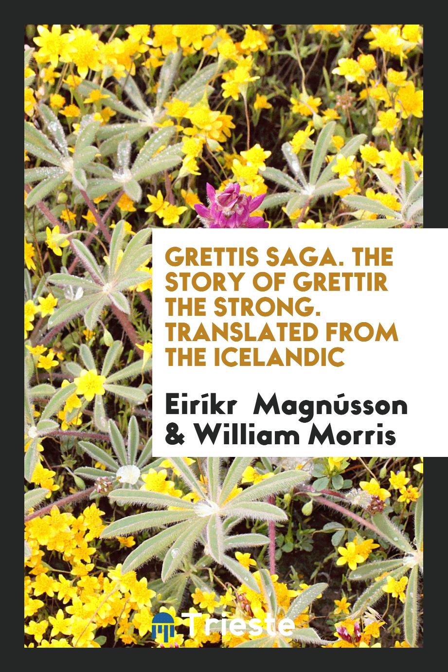 Grettis Saga. The Story of Grettir the Strong. Translated from the Icelandic