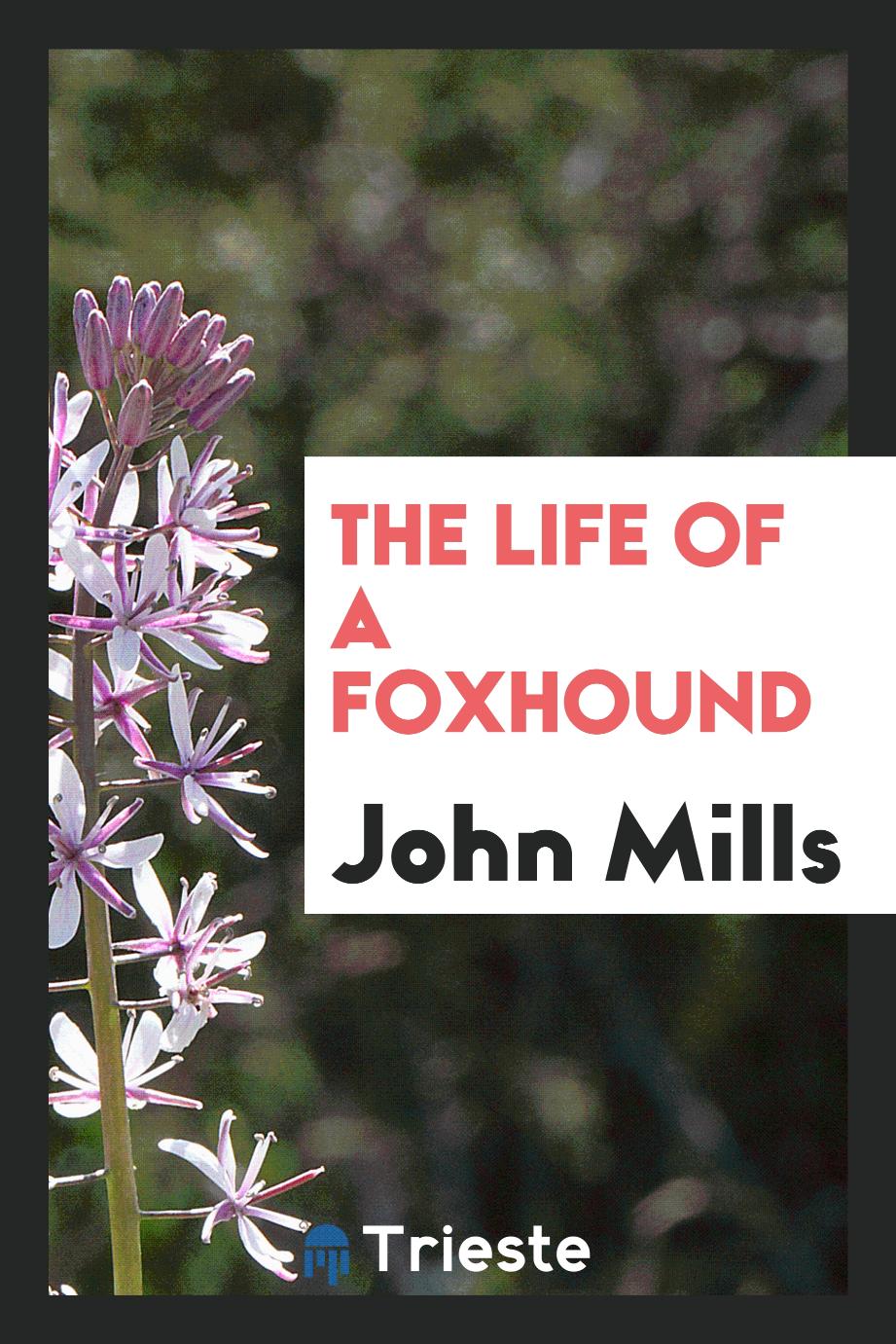 The life of a foxhound