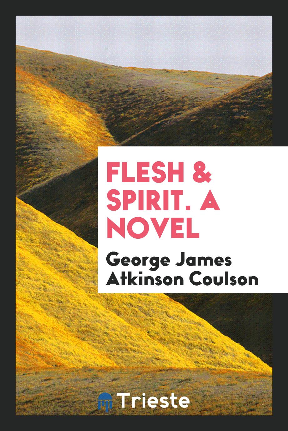 Flesh & Spirit. A Novel