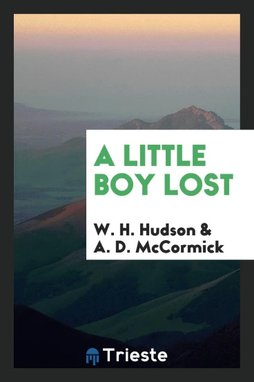 A Little Boy Lost