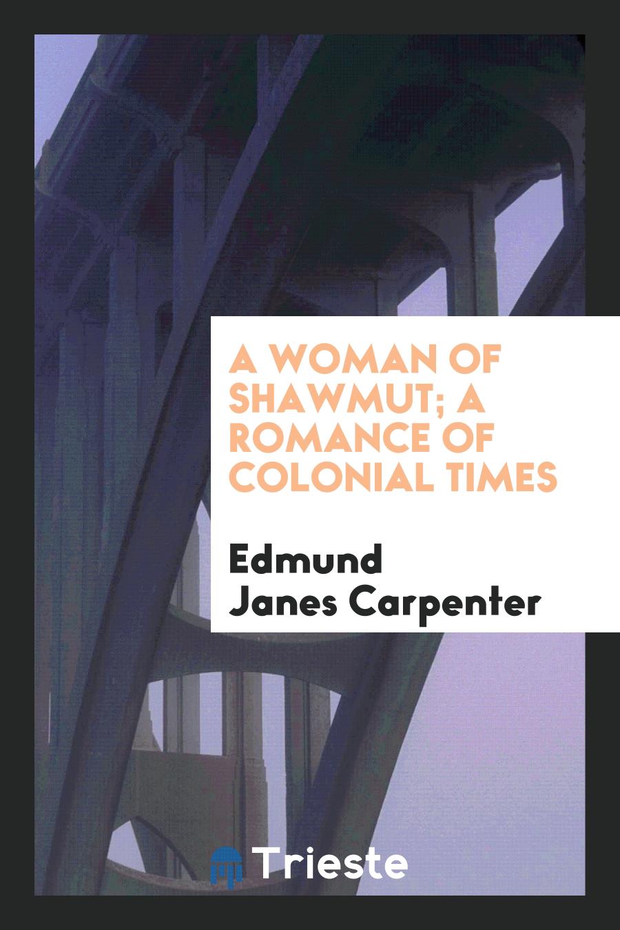 A woman of Shawmut; a romance of colonial times