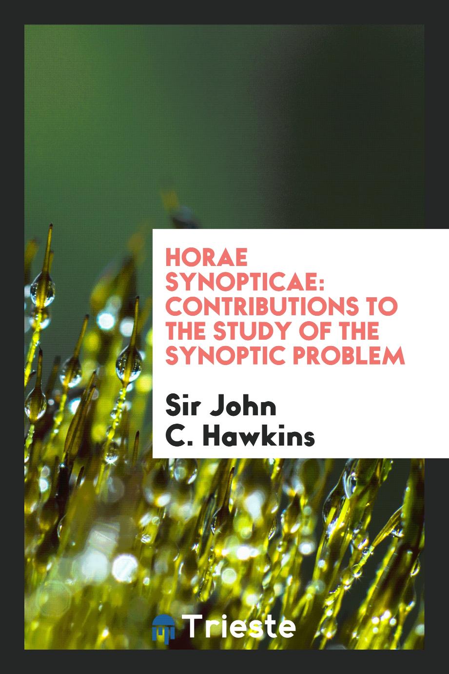 Horae Synopticae: Contributions to the Study of the Synoptic Problem