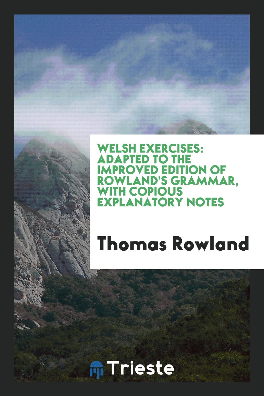 Welsh exercises: adapted to the improved edition of Rowland's grammar, with copious explanatory notes