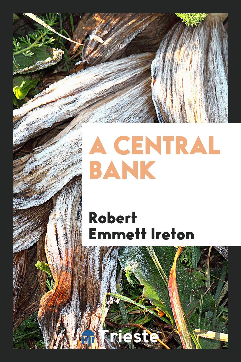 A central bank