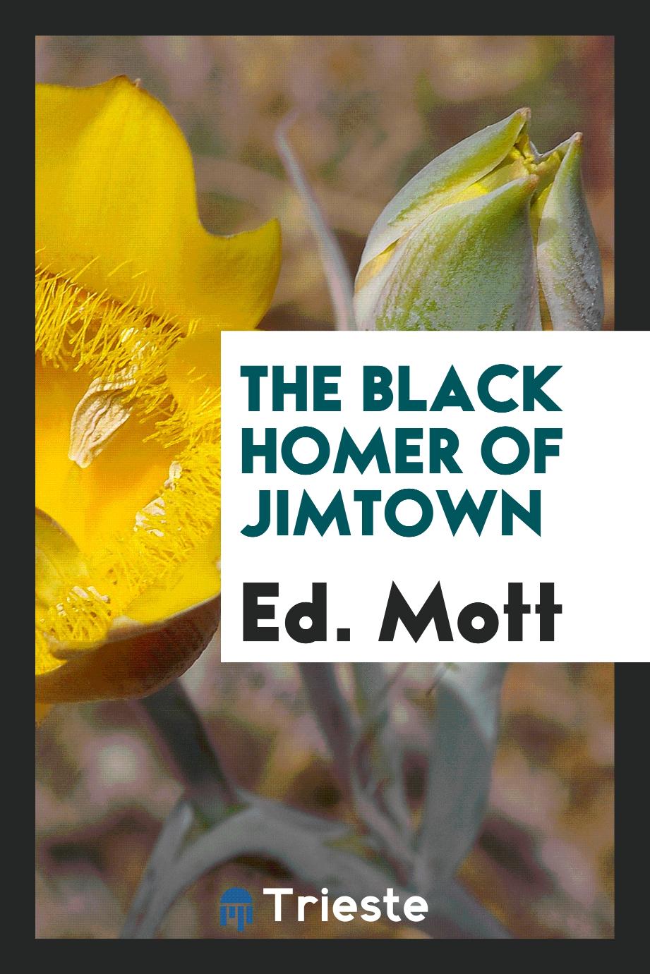 The black Homer of Jimtown