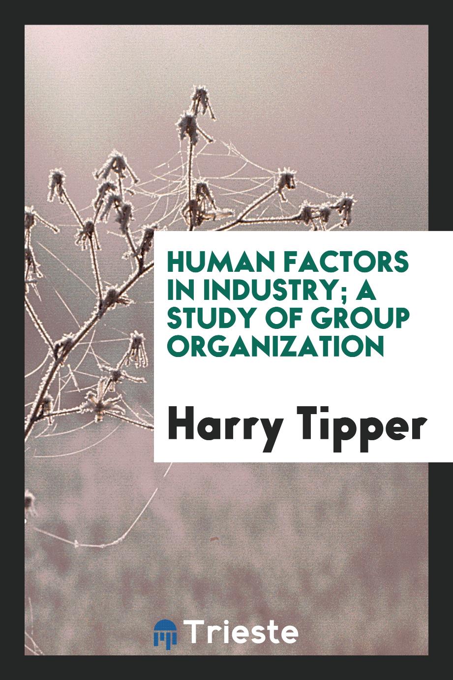 Human factors in industry; a study of group organization