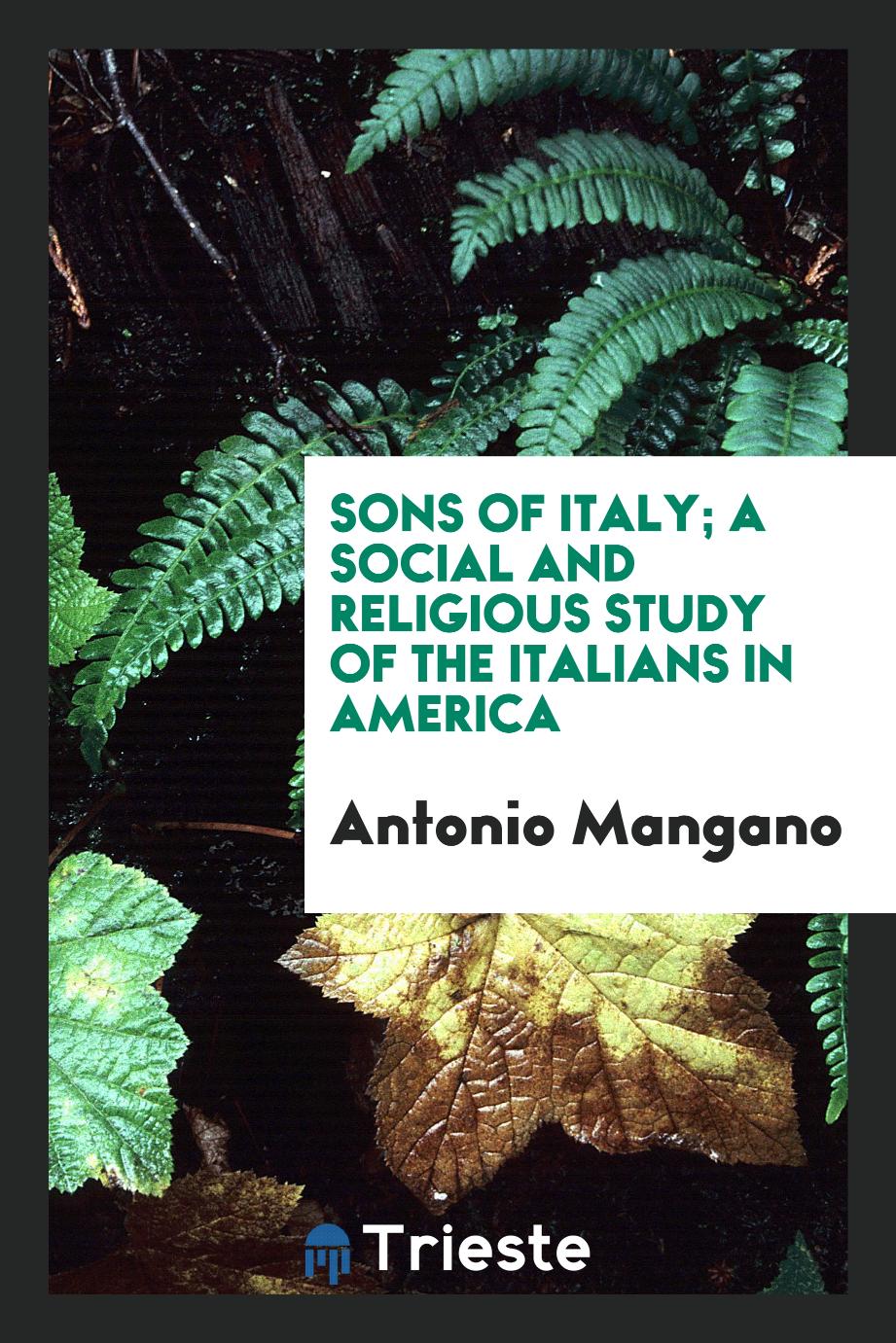 Sons of Italy; a social and religious study of the Italians in America