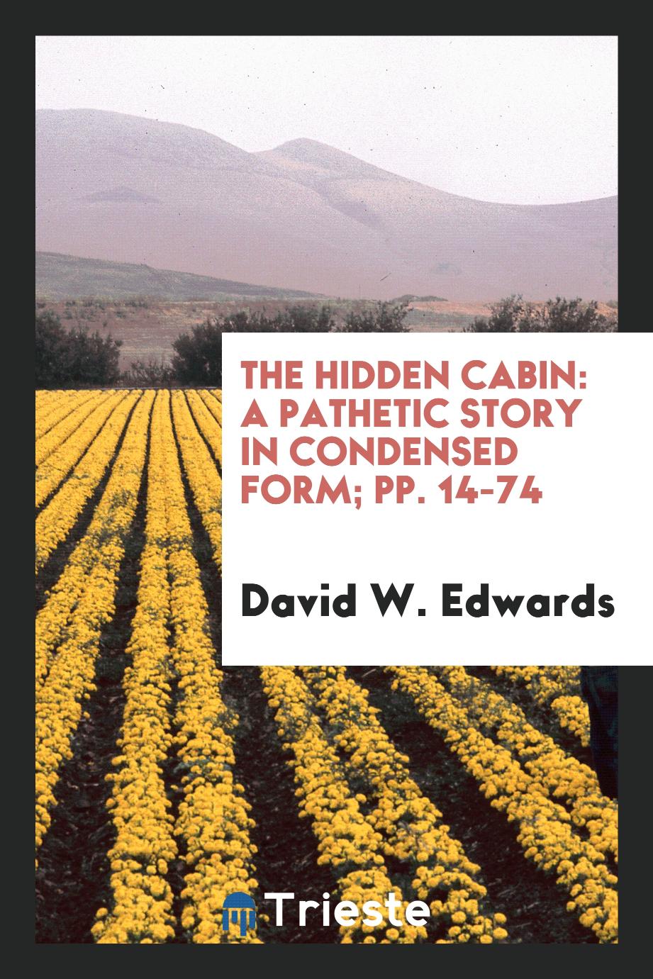 The Hidden Cabin: A Pathetic Story in Condensed Form; pp. 14-74