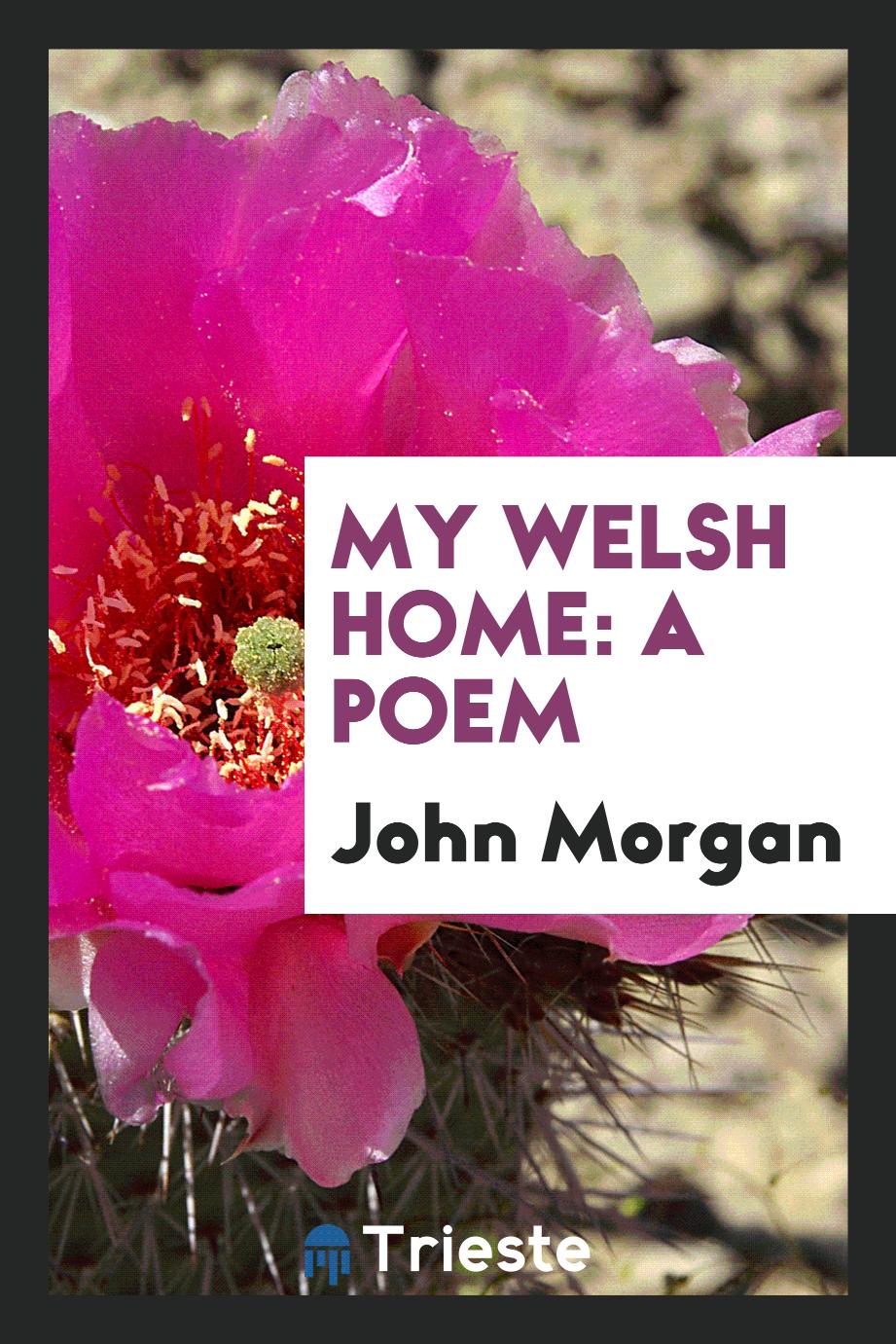 My Welsh Home: A Poem