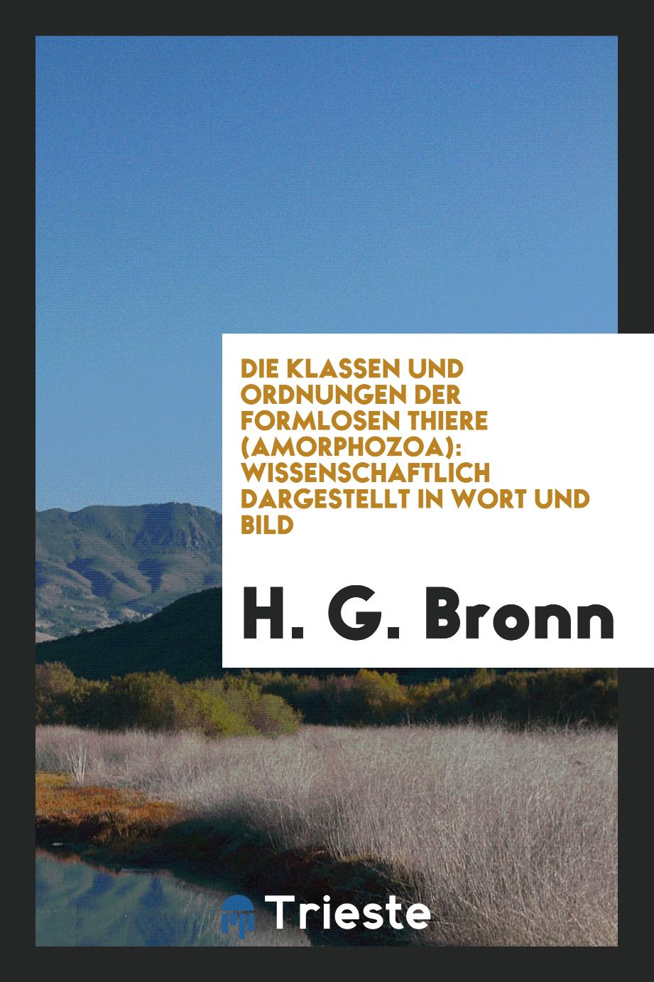 Die Klassen und Ordnungen der Formlosen Thiere (Amorphozoa): wissenschaftlich dargestellt in Wort und Bild