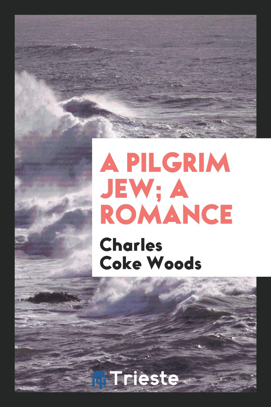 A pilgrim Jew; a romance