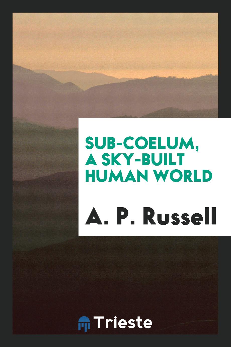 Sub-coelum, a sky-built human world