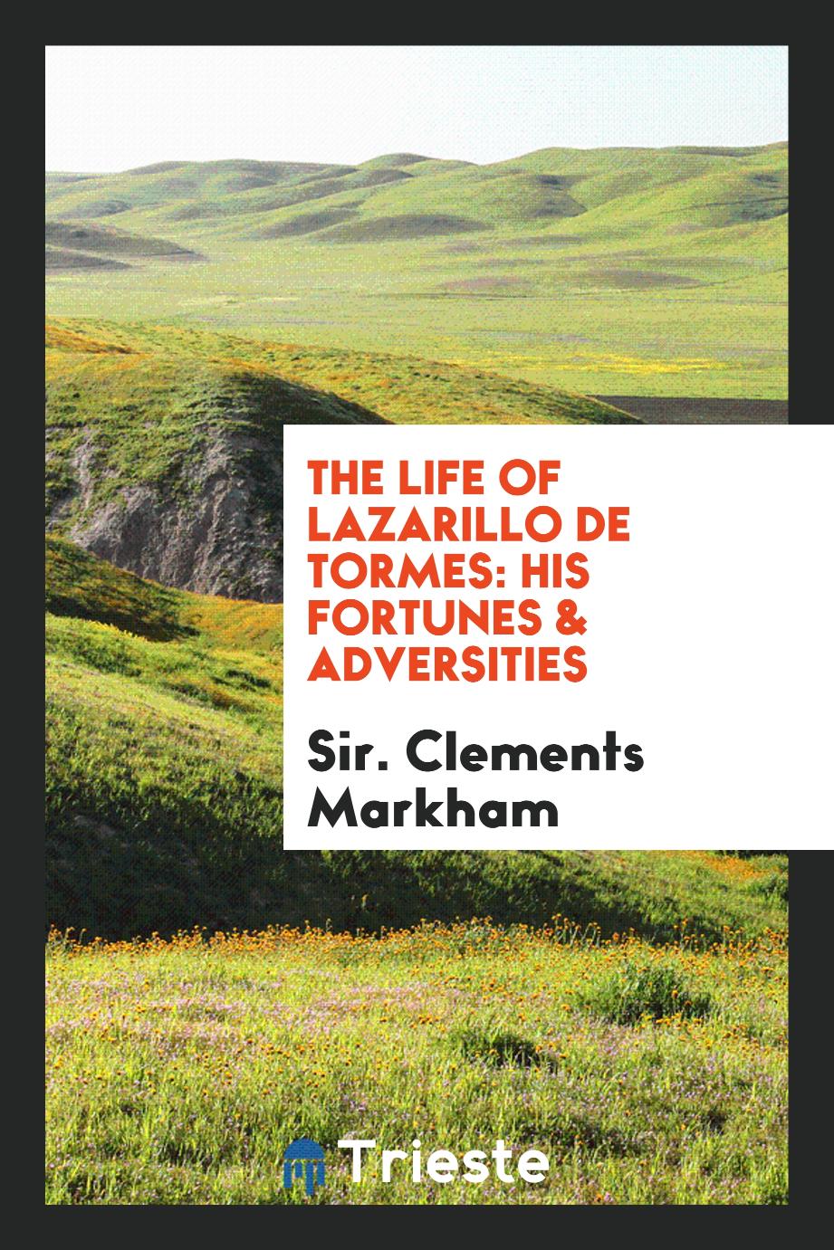 The Life of Lazarillo de Tormes: His Fortunes & Adversities