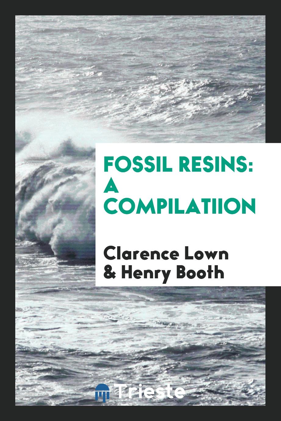 Fossil Resins: A Compilatiion