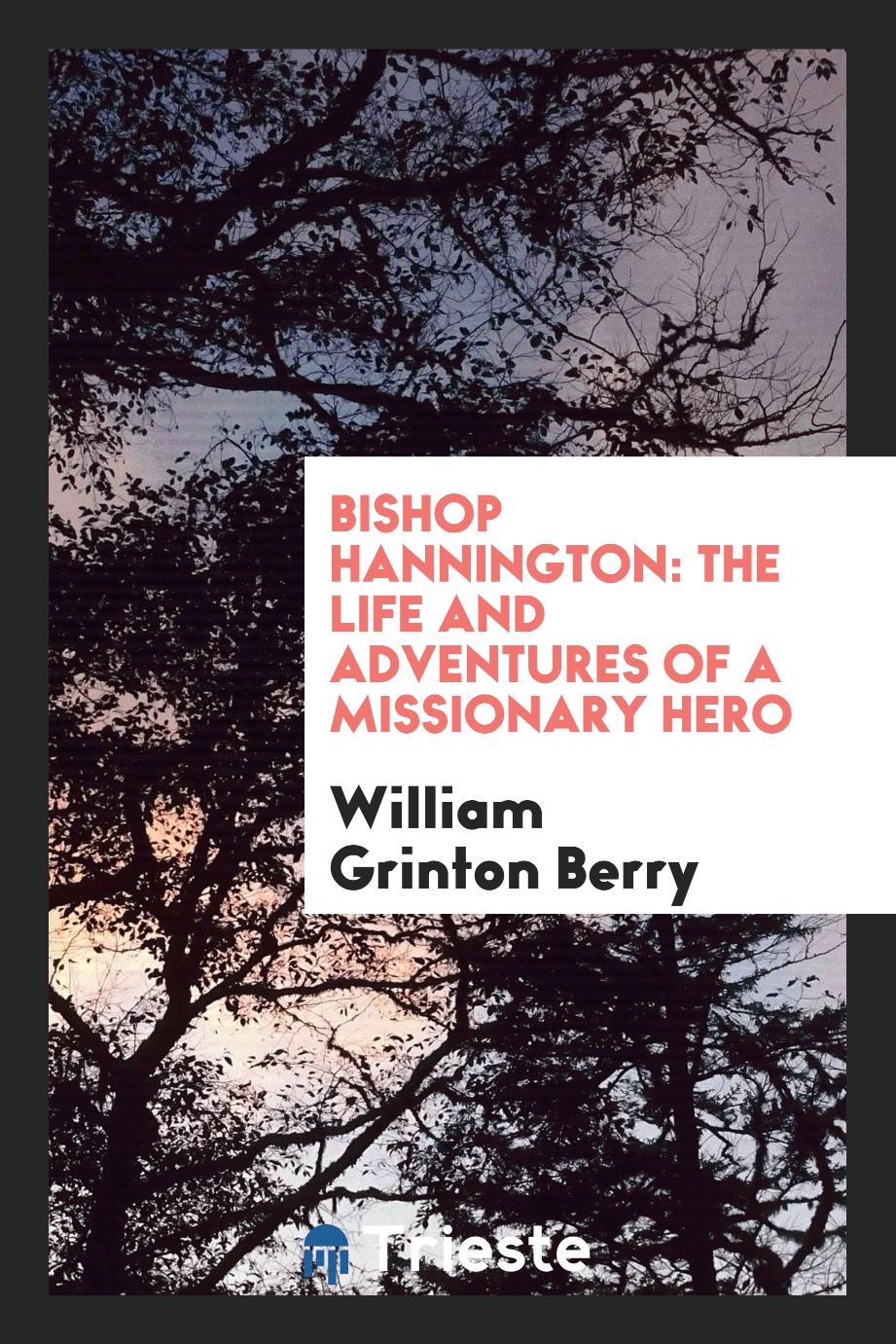 Bishop Hannington: the life and adventures of a missionary hero