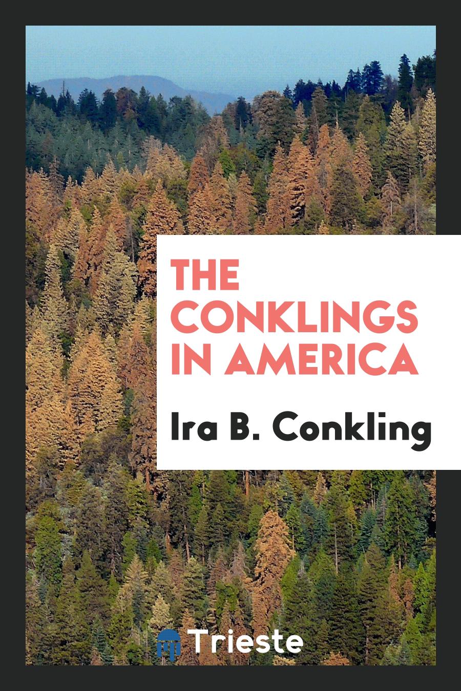 The Conklings in America