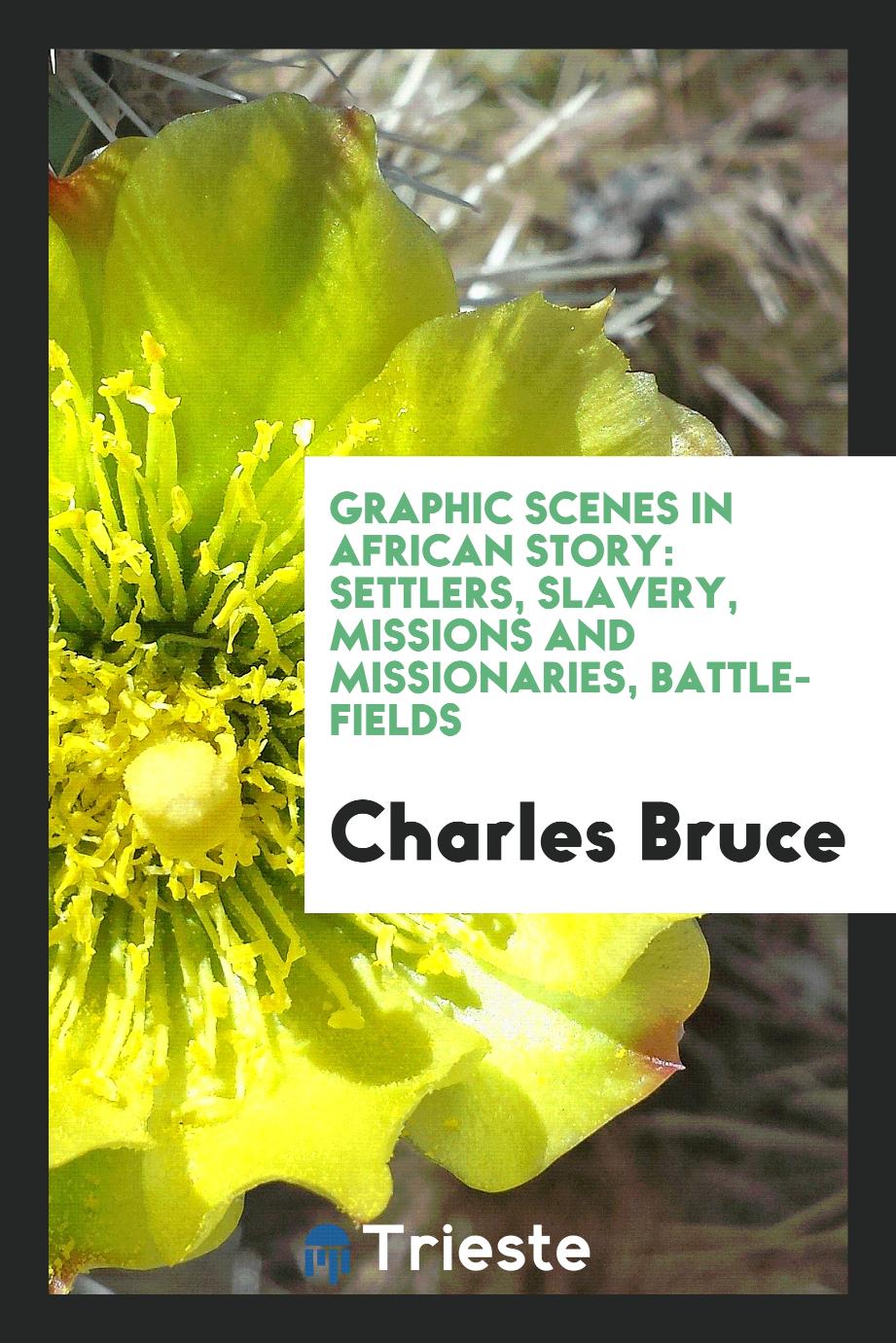 Graphic scenes in African story: settlers, slavery, missions and missionaries, battle-fields