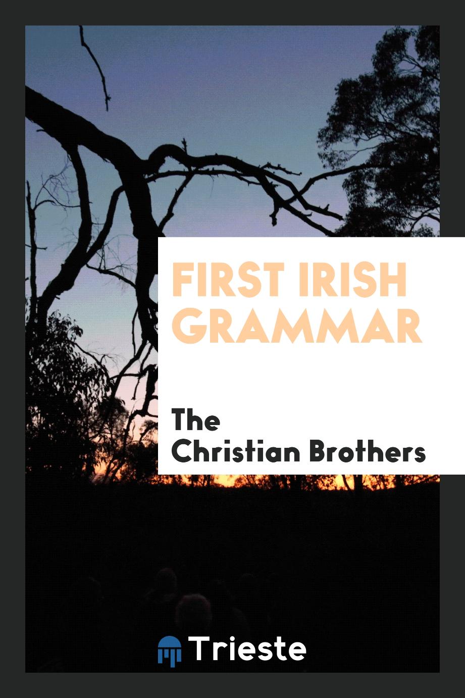 First Irish grammar