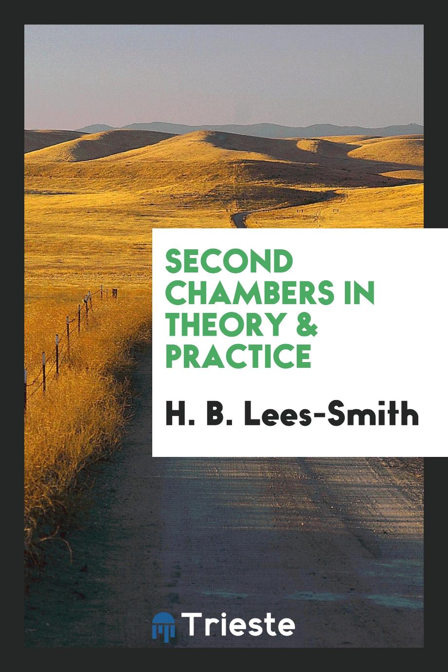 Second chambers in theory & practice