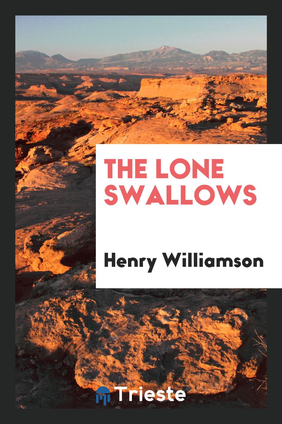 The Lone Swallows