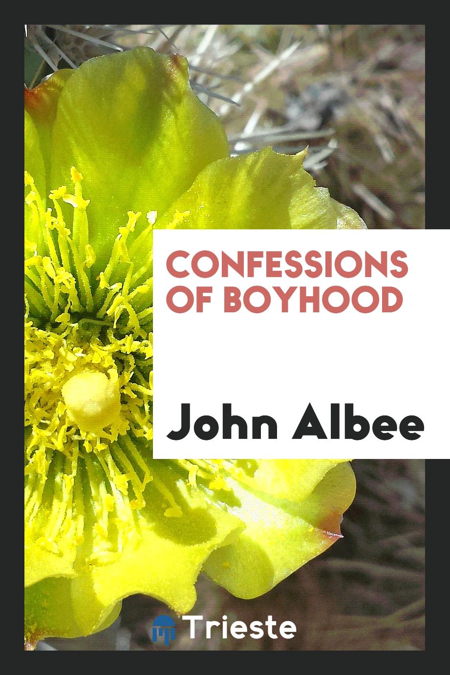 Confessions of boyhood